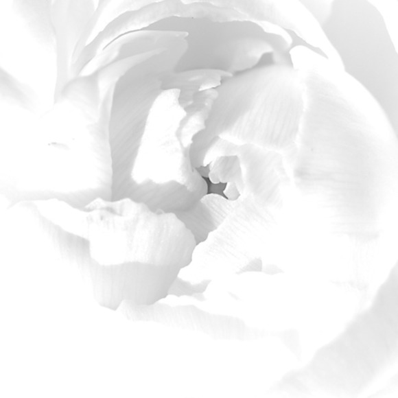 Meet your Posher, Allison - Picture 1 of 1